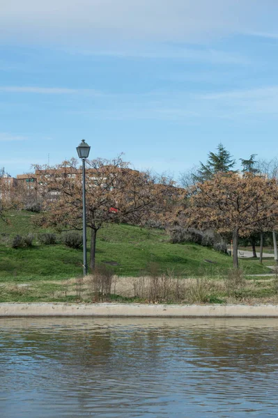 Liten Sjö Park Omgiven Träd Och Lyktstolpe Madrid Spanien — Stockfoto