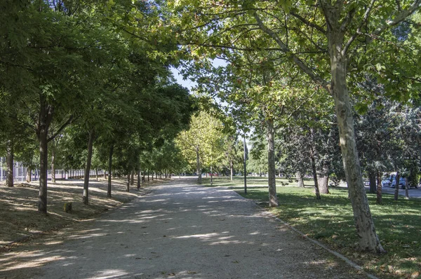 Stig Väg Med Träd Park Madrid Spanien — Stockfoto