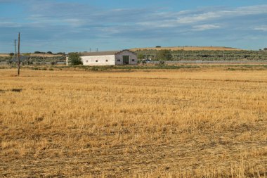 Arka planda depo olan kuru otların olduğu bir yaz arazisi.