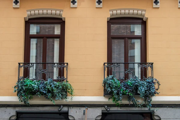 Balkon Dengan Planta Levae Hijau Fasad Bangunan Madrid Spanyol Stok Gambar Bebas Royalti