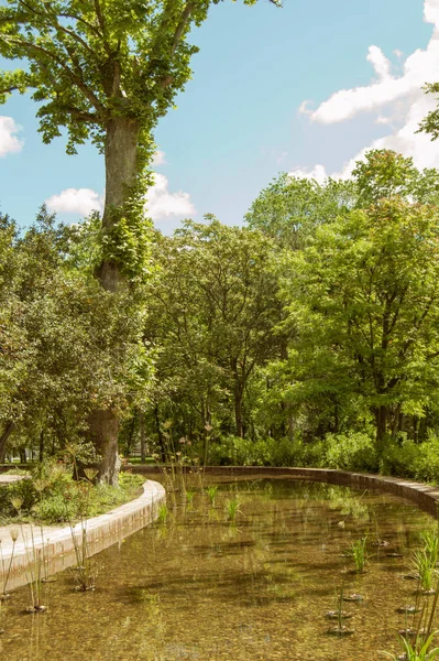 マドリードの木々や低木の公園内の小さな装飾運河 — ストック写真