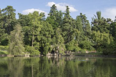 Madrid 'deki Retiro parkında ağaçlarla dolu bir göl. İspanya
