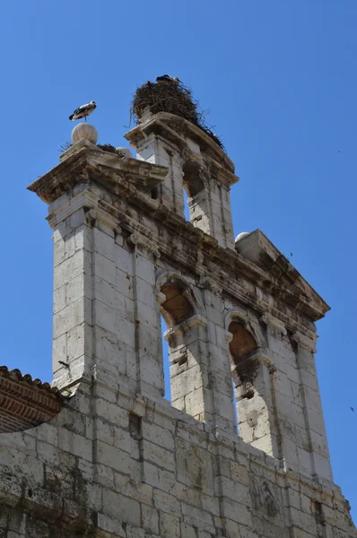 Old bell with storks' nests — Stock Photo, Image