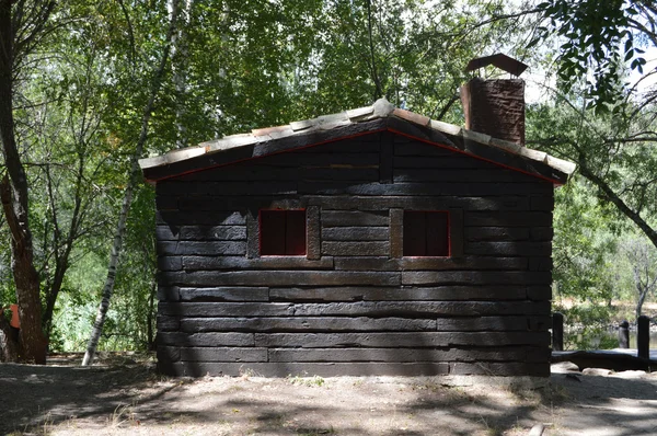 Nordic hut, — Stock Photo, Image