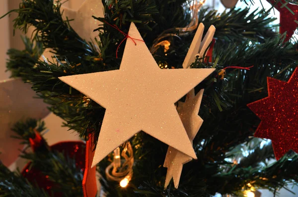 Рождественская белая звезда — стоковое фото