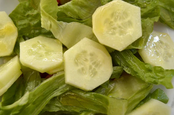 Achtergrond met groene salade — Stockfoto