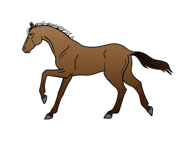 Bay Horse Galopp Vektor Vollfarb Illustration Ein Galopp Hengst Schöne — Stockvektor