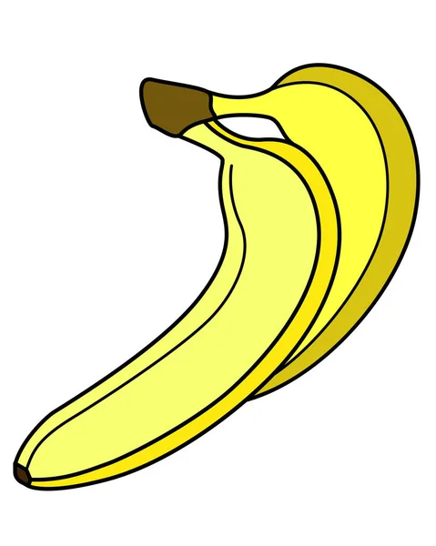 Bananas Duas Bananas Amarelas Maduras Ilustração Linear Vetorial Frutas Tropicais — Vetor de Stock