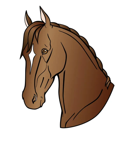Χαριτωμένο Κεφάλι Αλόγου Akhal Teke Άλογο Διάνυσμα Πλήρη Απεικόνιση Χρώματος — Διανυσματικό Αρχείο