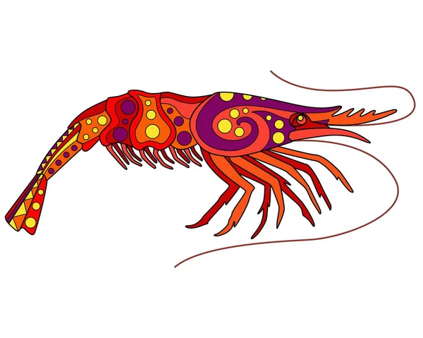 Garnalen Vector Lineaire Full Color Illustratie Oceaan Schaaldieren Kleurrijke Garnalen — Stockvector