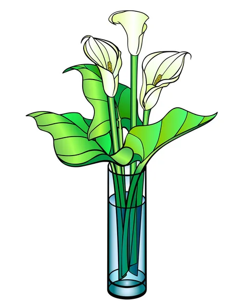 Callas Bouquet Glass Vase Vector Full Color Illustration Callas Flowers — Stock Vector