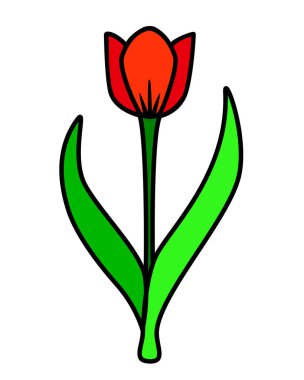 İki yapraklı kırmızı lale - vektör tam renk çizimi. Tulip bir logo ya da piktogram için stilize edilmiş bir resimdir. Bahar parlak çiçeği.