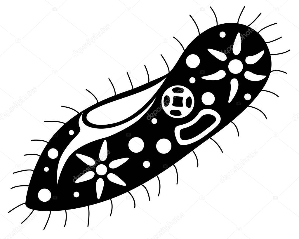 Infusoria slipper - vector black silhouette for logo or pictogram. Infusoria slipper with organelles - unicellular microorganism - sign for identity, icon