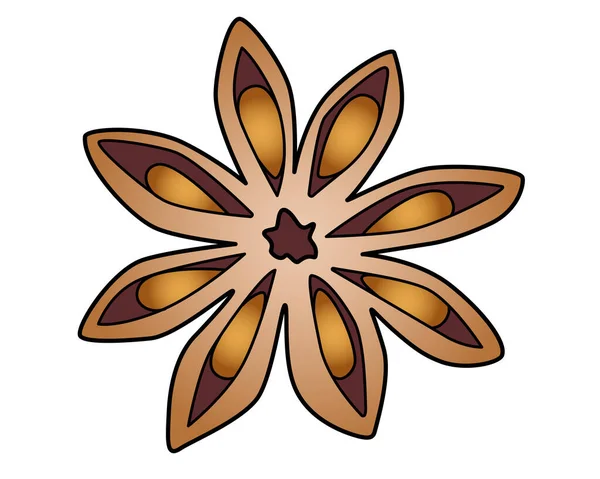 Star Anise Kryddor Vektor Full Färg Illustration För Logotyp Kryddor — Stock vektor