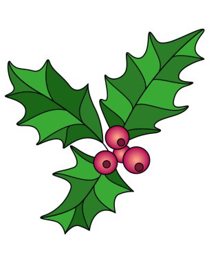 Holly, böğürtlen ve yapraklar, vektör tam renk çizimi. Kartlar ve pankartlar için Noel 'in her zaman yeşil olan sembolü.