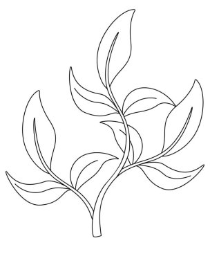 Deniz yosunu, akvaryum çalılığı. Renkler için vektör doğrusal çizim. Özet geç. Deniz yosunu, sualtı çalısı.