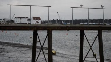 Woodbridge waterfront önce yağmur