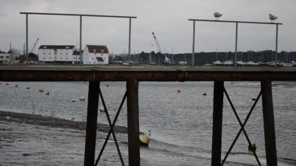 Frente al mar Woodbridge antes de la lluvia — Vídeos de Stock