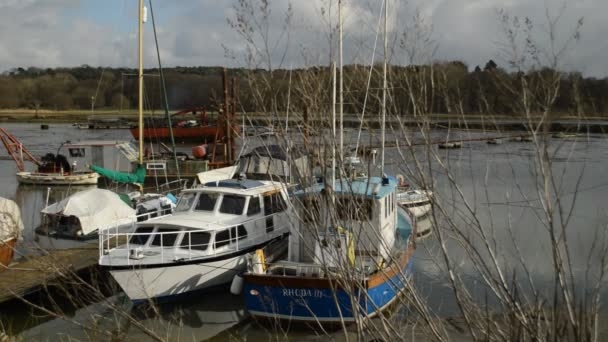 Lungofiume paesaggio di Woodbridge — Video Stock