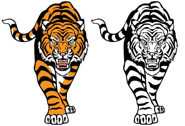 Angry Roaring Tiger Front View Colour Black White Tattoo Style — Stock Vector