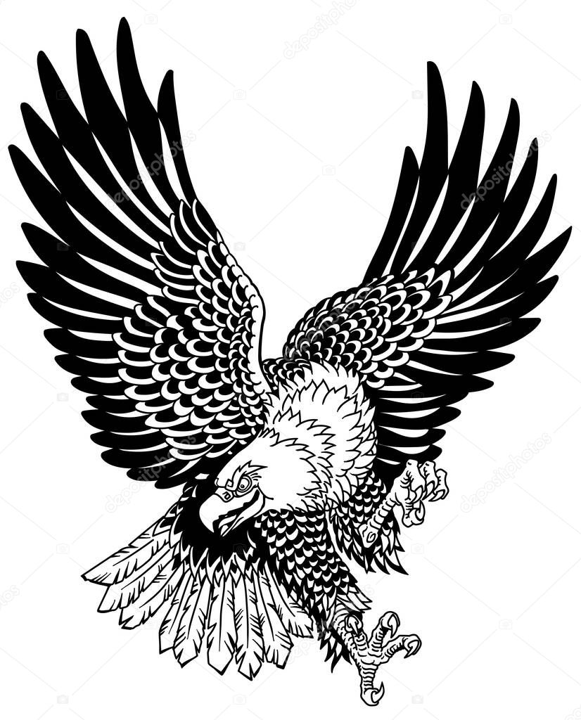 American whitehead bald eagle in the flight. Landing attacking prey bird.  Tattoo style black and white vector illustration