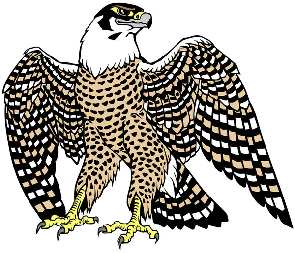 Falco Cacciatore Con Ali Aperte Uccello Rapace Falconeria Illustrazione Del — Vettoriale Stock