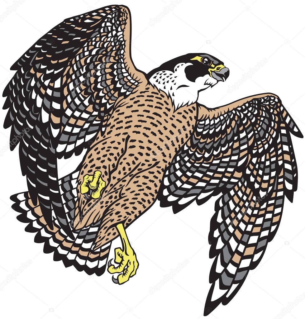 Falcon A Hunter In Flight Flying Bird Of Prey Falconry Isolated Vector Illustration Premium Vector In Adobe Illustrator Ai Ai Format Encapsulated Postscript Eps Eps Format