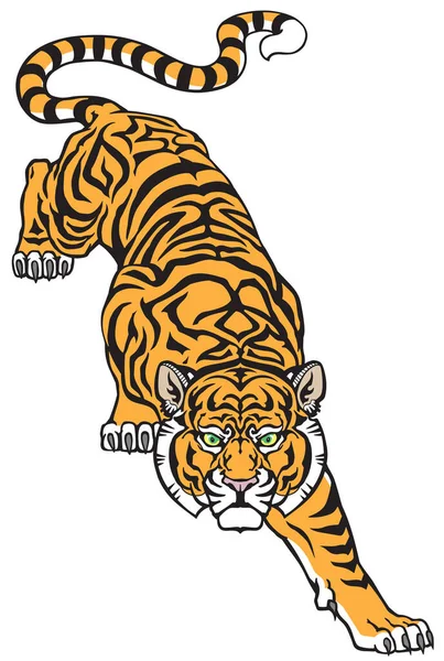 Tiger Climbing Big Cat Eyes Looking Straight Isolated Front View — Stock Vector