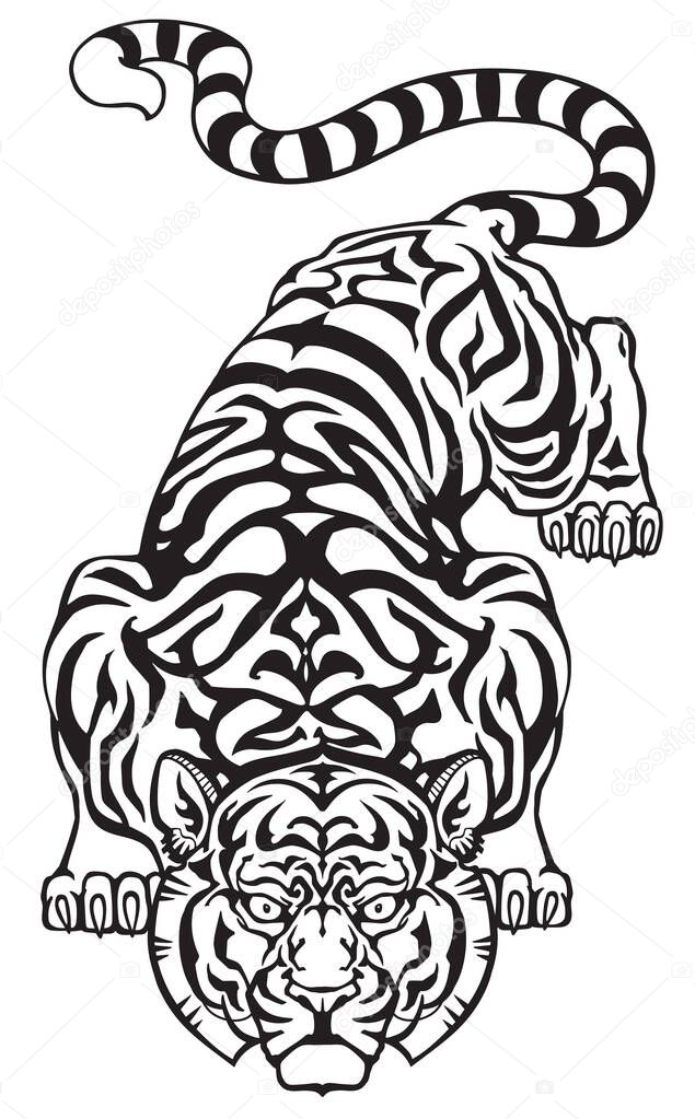 Tiger Ready to Jump. Big cat eyes looking straight. Isolated front view image. Tattoo style vector illustration. Black and white