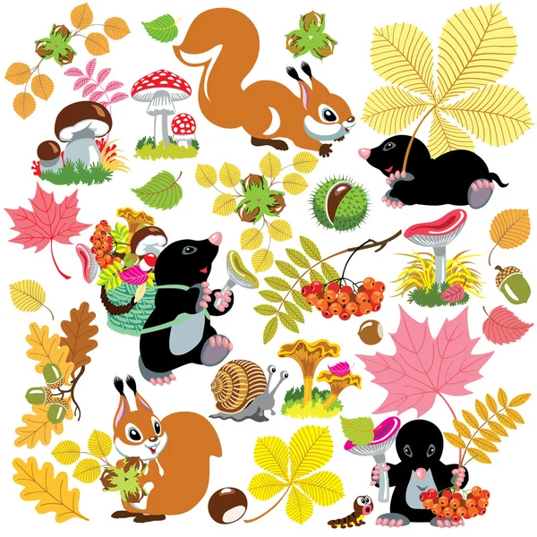 Set con cosecha otoñal de bosque — Vector de stock