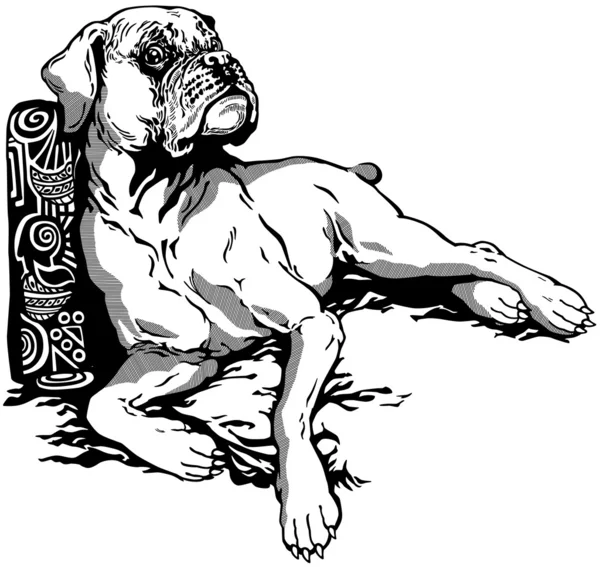 Boxer perro negro blanco — Vector de stock