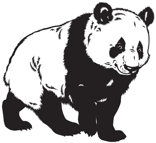 Panda schwarz und weiß — Stockvektor