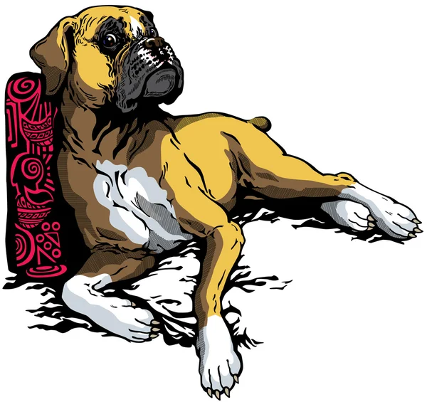 Boxer Chien — Image vectorielle