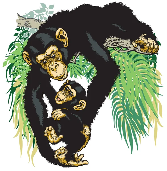 Chimpanzee holding baby chimp — Stock Vector