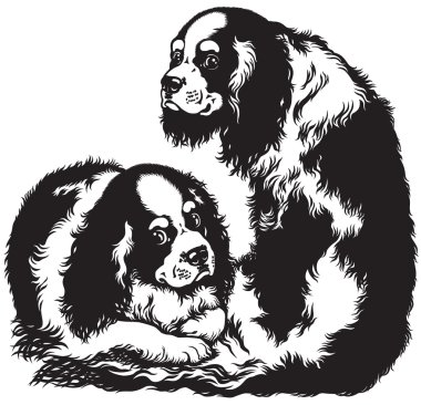 Free Free King Charles Svg 579 SVG PNG EPS DXF File