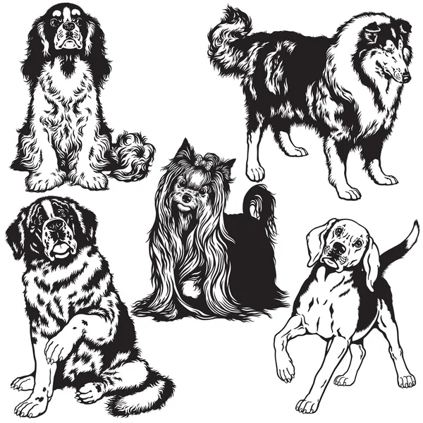 Schwarz-weißes Set mit Hunden — Stockvektor