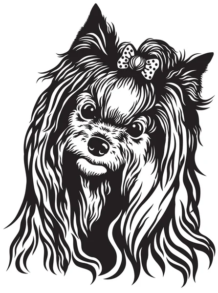 Yorkshire terrier zwart wit — Stockvector