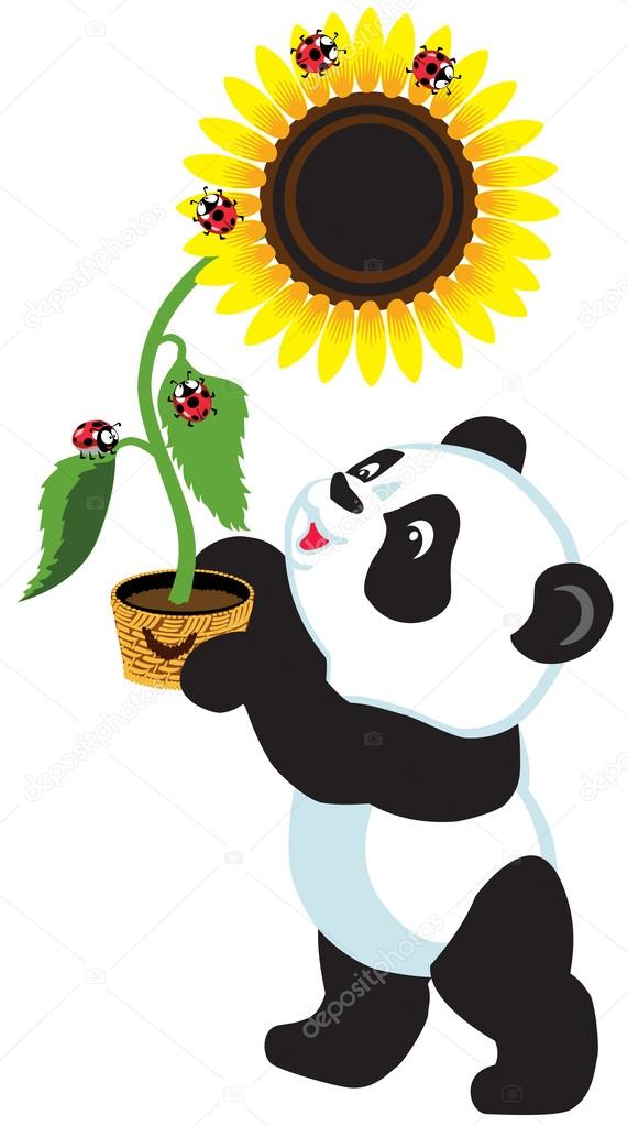 Cartoon panda holding a sunflower
