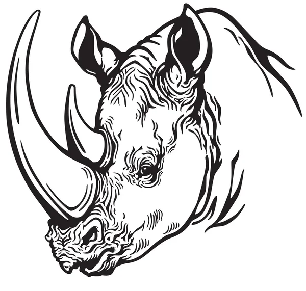 Head of rhinoceros black and white — Stock Vector