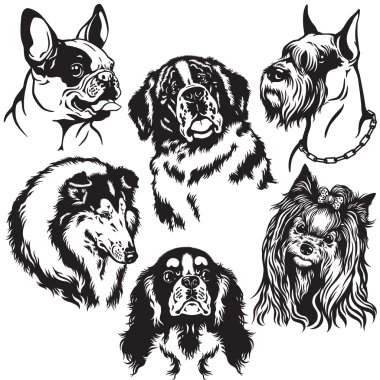 Köpekler başkanları ile ayarla