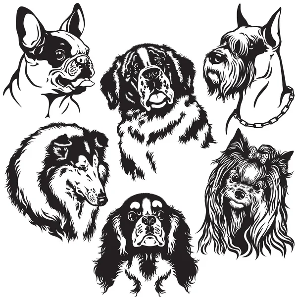 Set with dogs heads — Stock Vector