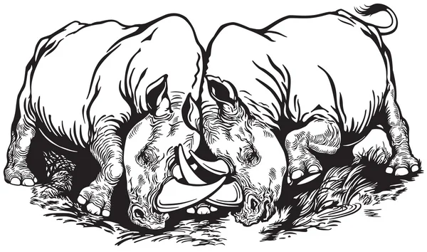 Deux Rhinos — Image vectorielle