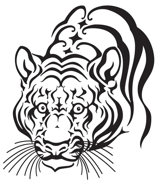 Głowa tygrysa — Wektor stockowy