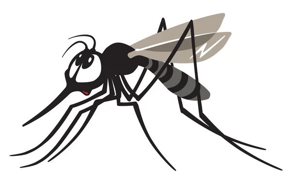 Rajzfilm szúnyog — Stock Vector