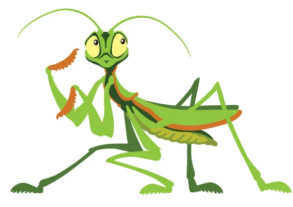 Mantis orante — Vector de stock