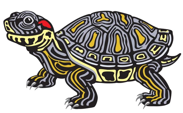 Red eared slider turtle — Stock Vector