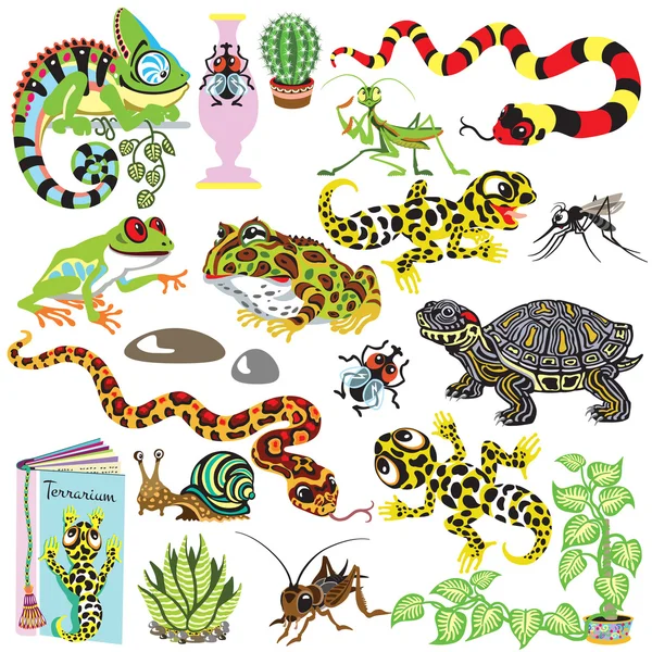 Set terráriumban tartott állatok — Stock Vector