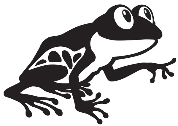 Frosch schwarz-weiß — Stockvektor