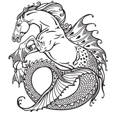 hippocampus black and white clipart