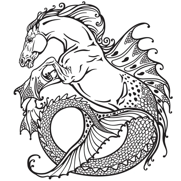 Hippocampus siyah ve beyaz